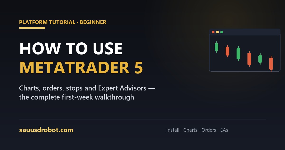 How to use MetaTrader 5 — the complete beginner walkthrough